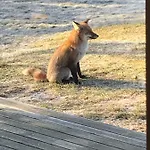 Jahimaja Majutus Kihelkonna