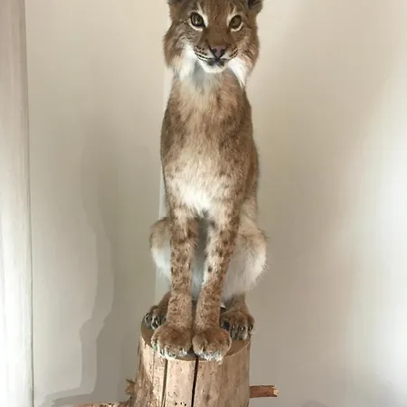 アパート Jahimaja Majutus Kihelkonna