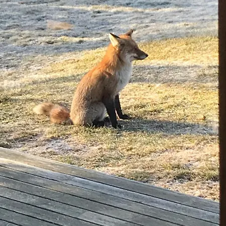 Jahimaja Majutus Kihelkonna