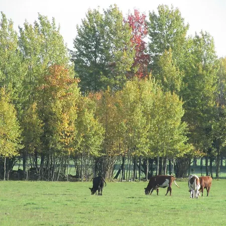 Jahimaja Majutus * Kihelkonna