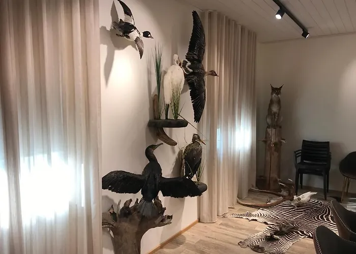 Daire Jahimaja Majutus Kihelkonna