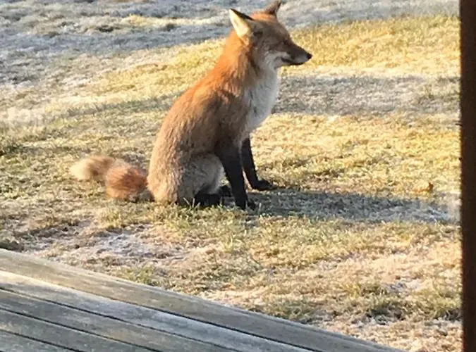 Jahimaja Majutus Kihelkonna
