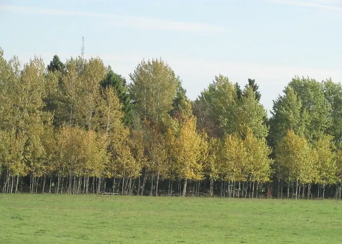 Jahimaja Majutus Kihelkonna