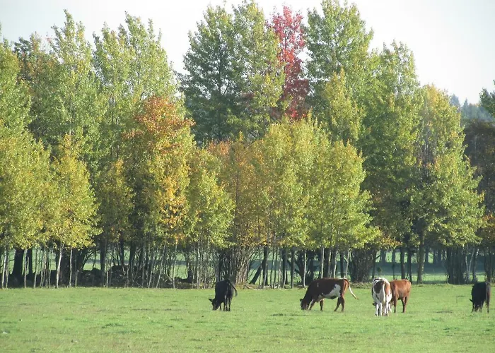 Jahimaja Majutus * Kihelkonna